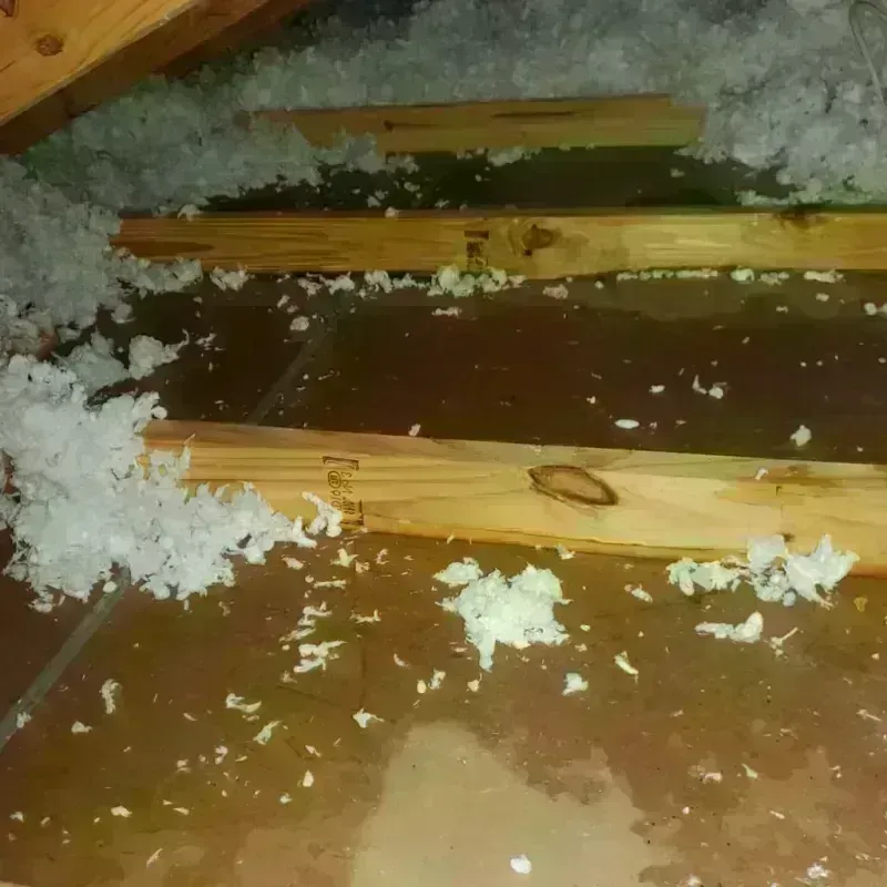 Attic Water Damage in Cedar Grove, WI