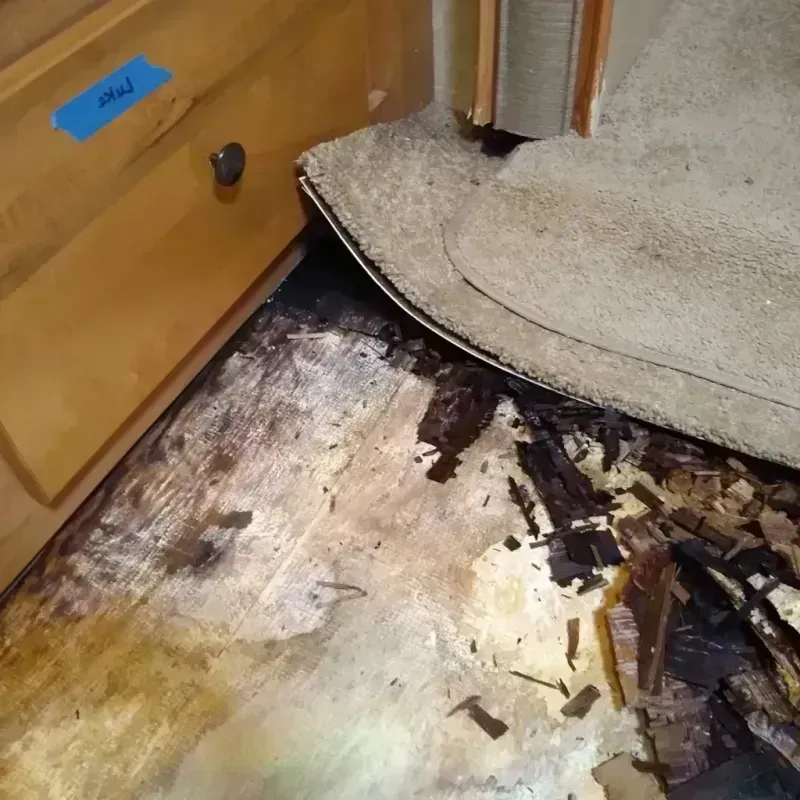 Best Wood Floor Water Damage Service in Cedar Grove, WI